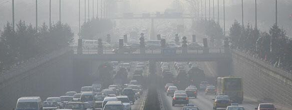 �҃�(n��i)���F������